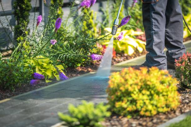 Best Restaurant Pressure Washing  in Odessa, FL
